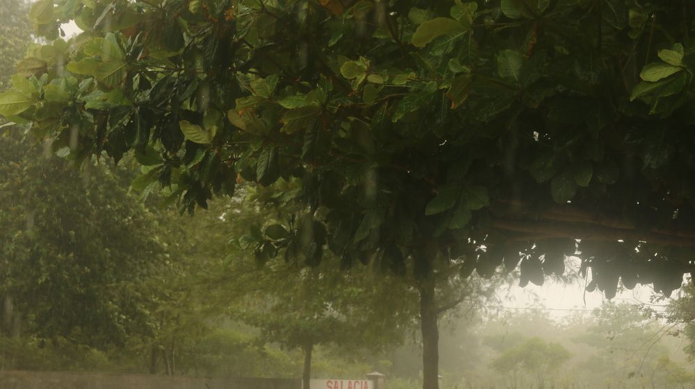 Photograph by Deasy Junita Dhani Hidayana