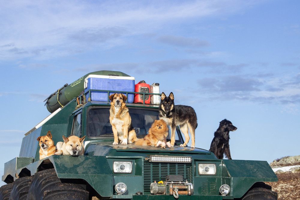 Photograph by Alina Bystrova