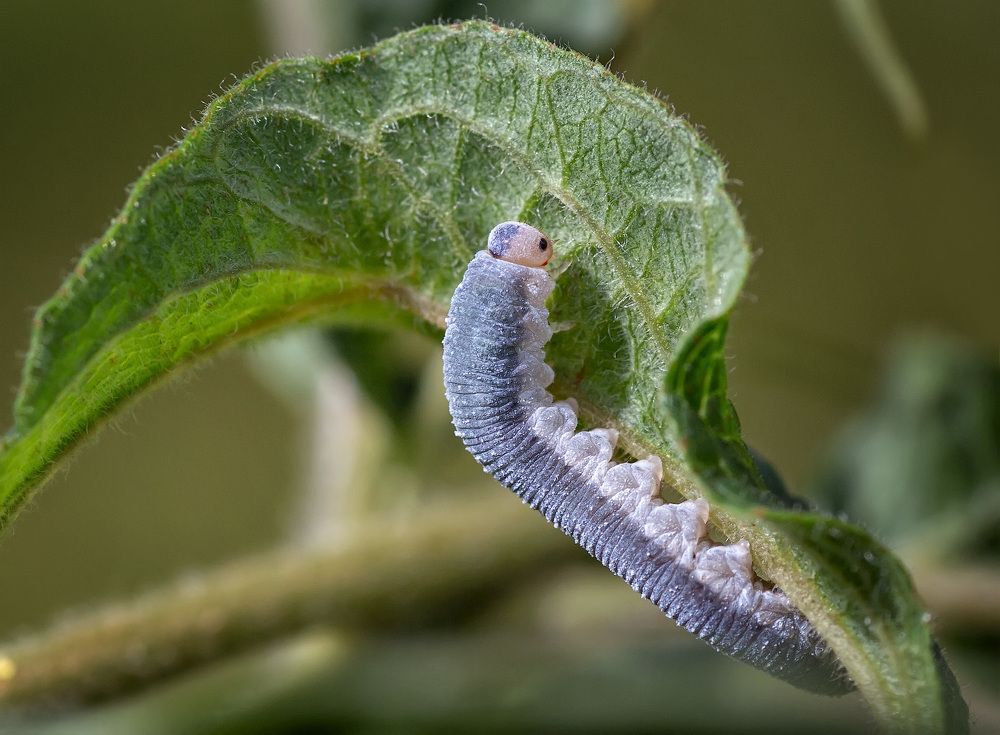 Photograph by Владимир Архипов