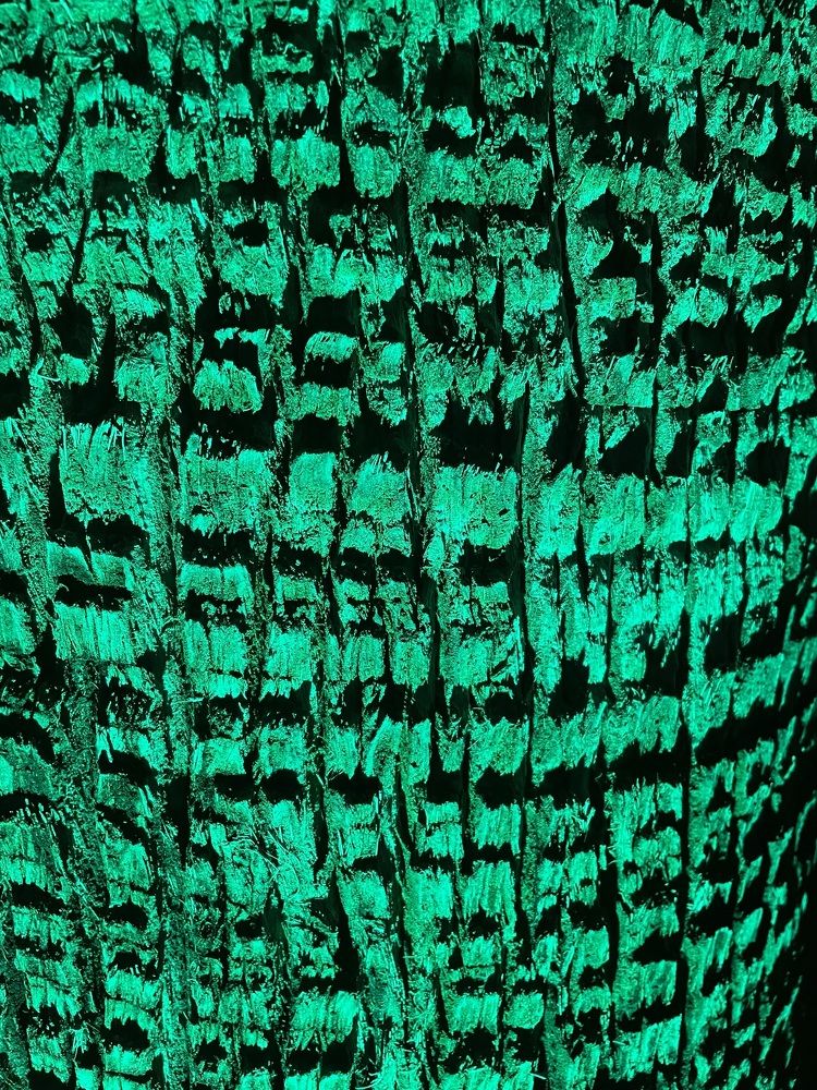 Фотография автора Рамзия Хисамутдинова