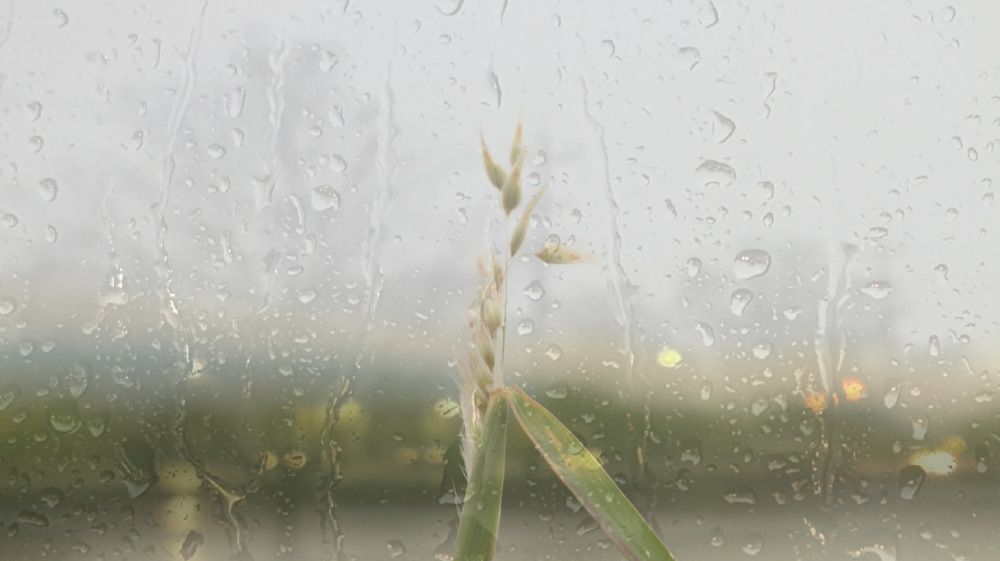 Photograph by Deasy Junita Dhani Hidayana