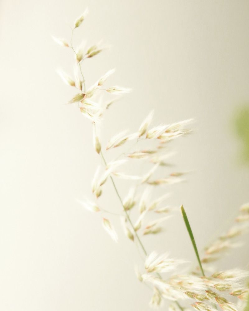 Photograph by Deasy Junita Dhani Hidayana