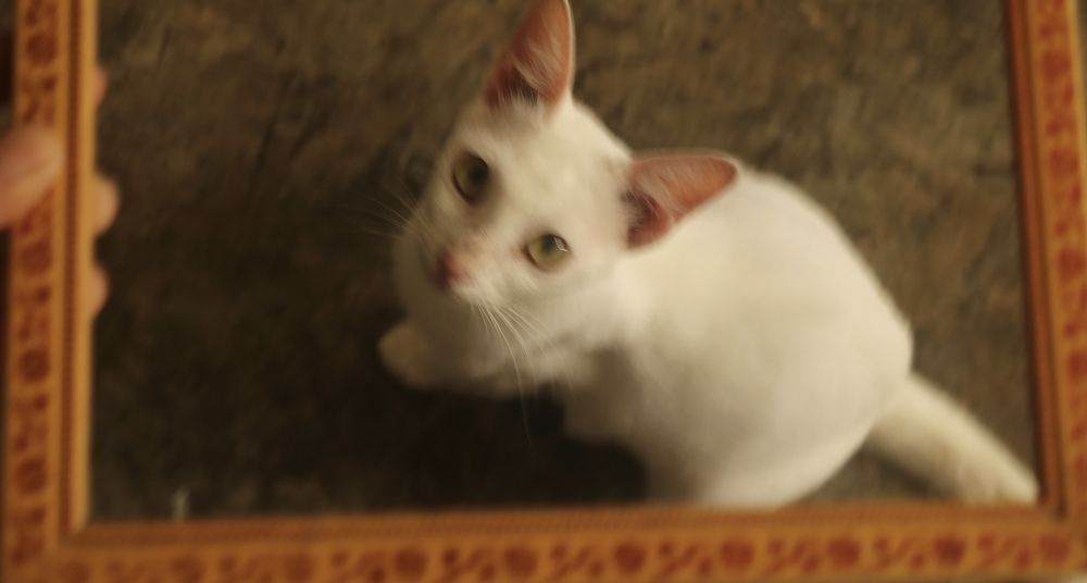 Photograph by Deasy Junita Dhani Hidayana