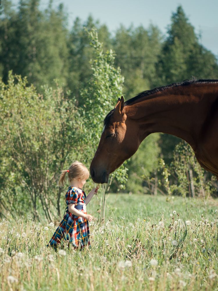 Photograph by Екатерина Савостикова