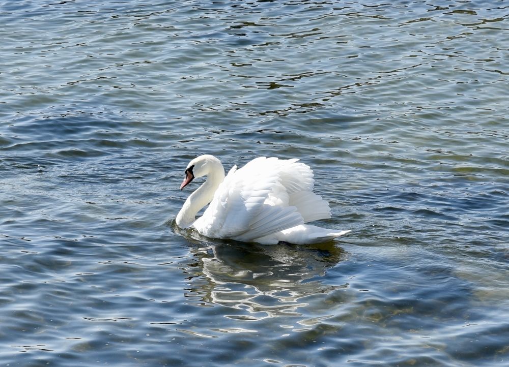 Photograph by Ольга Струкалина