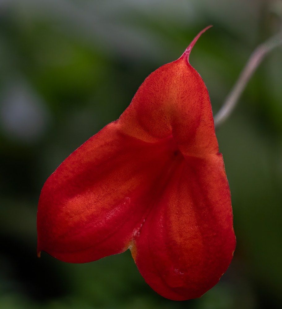 Photograph by Sandra Del Castillo