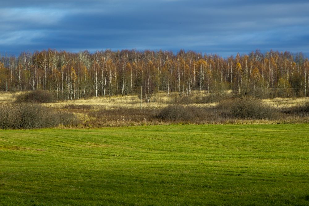 Photograph by Mikhail Tatanov