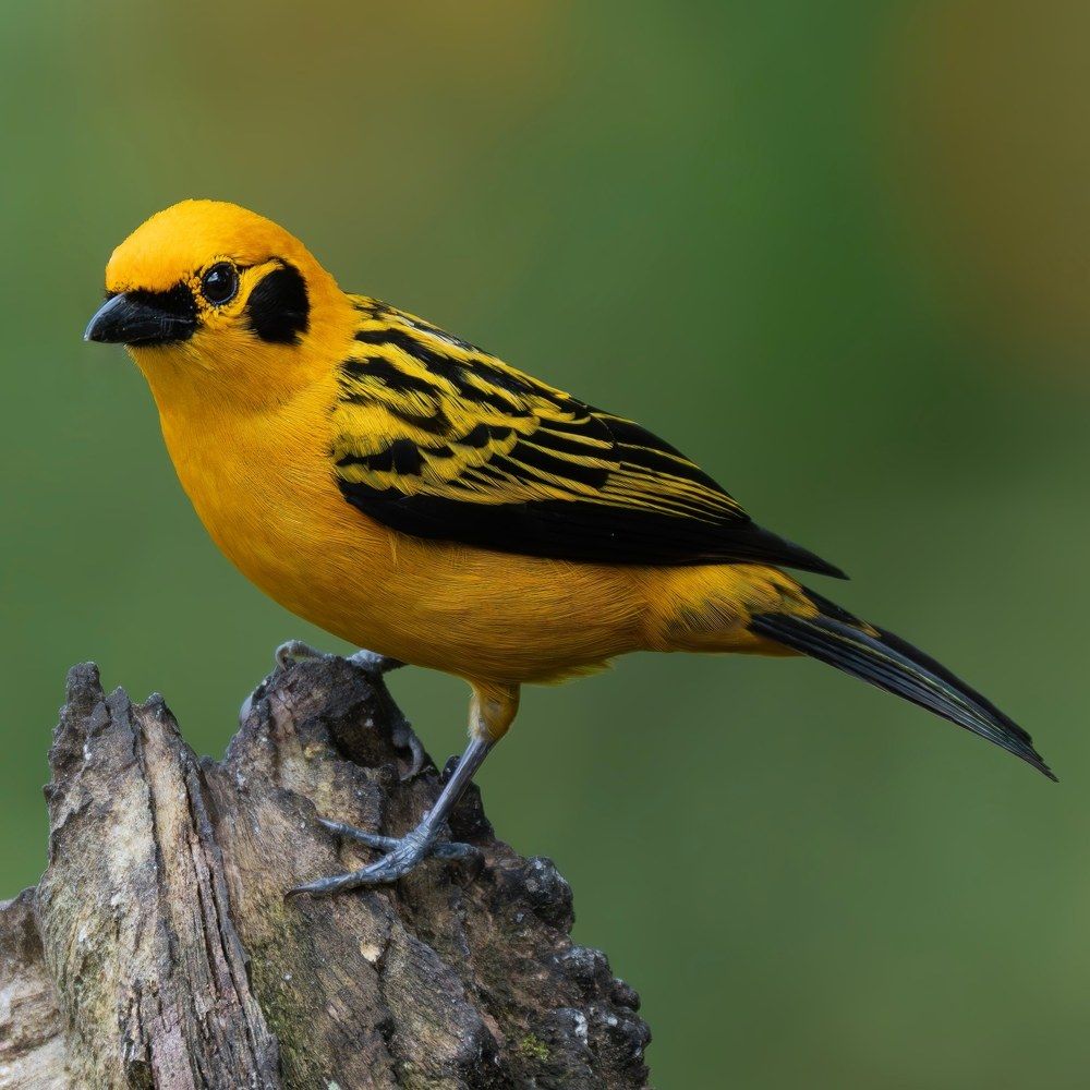 Photograph by Sandra Del Castillo