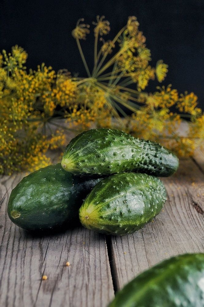 Photograph by Светлана Гришакова