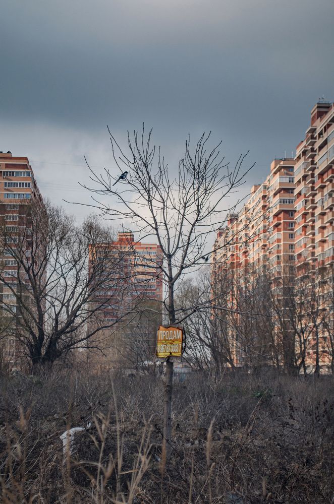 Photograph by Анна