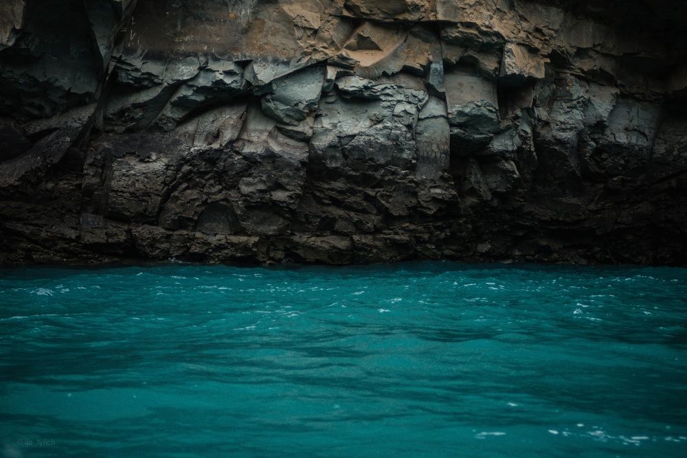 Фотография автора Илья Ницкий