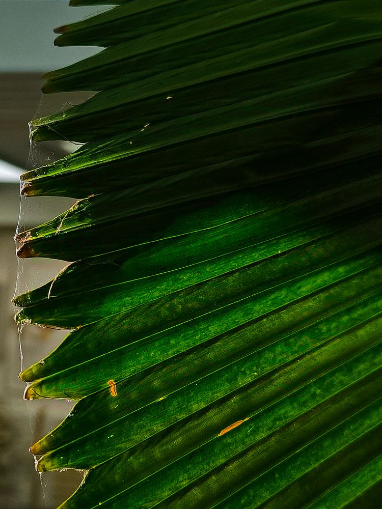 Photograph by Ksenija Bartoško