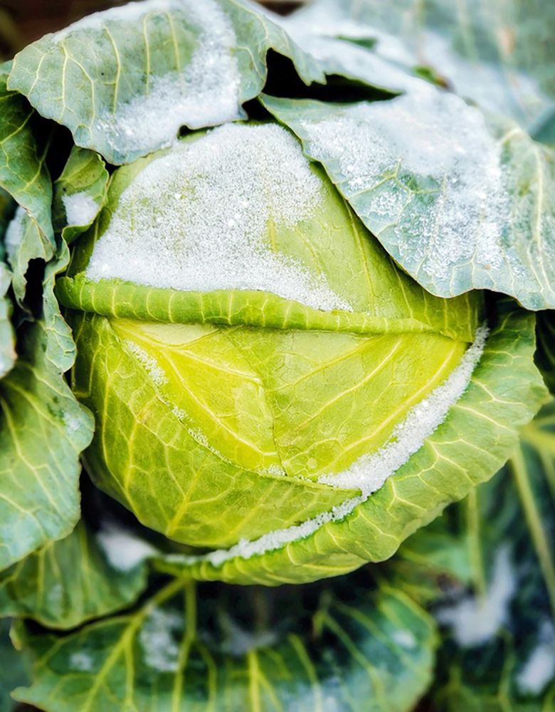 Photograph by Светлана Гришакова