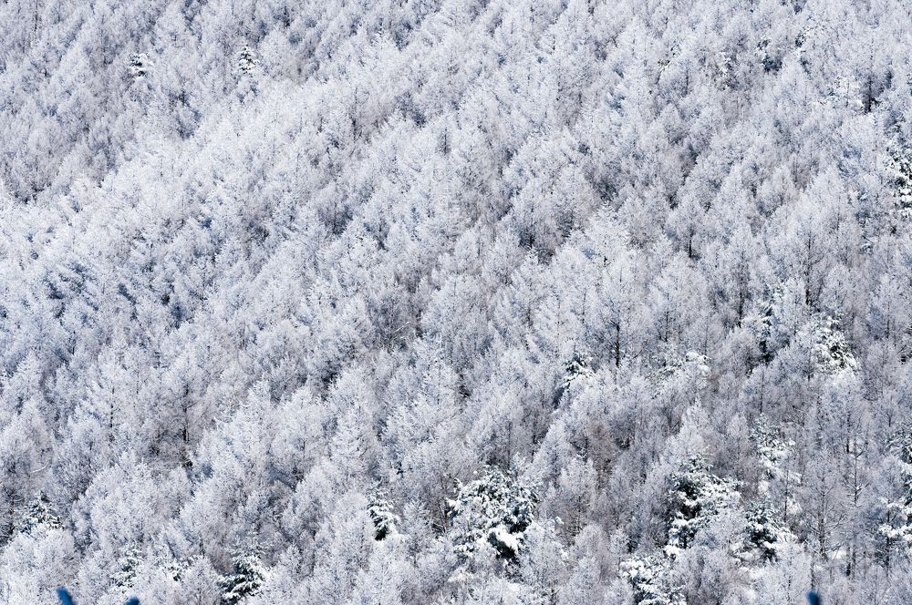 Photograph by Kurashima Daisuke