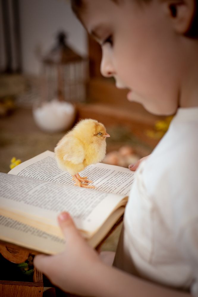 Photograph by TATYANA GRITSENKO