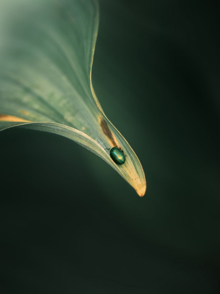 Photograph by Мозжухин Максим