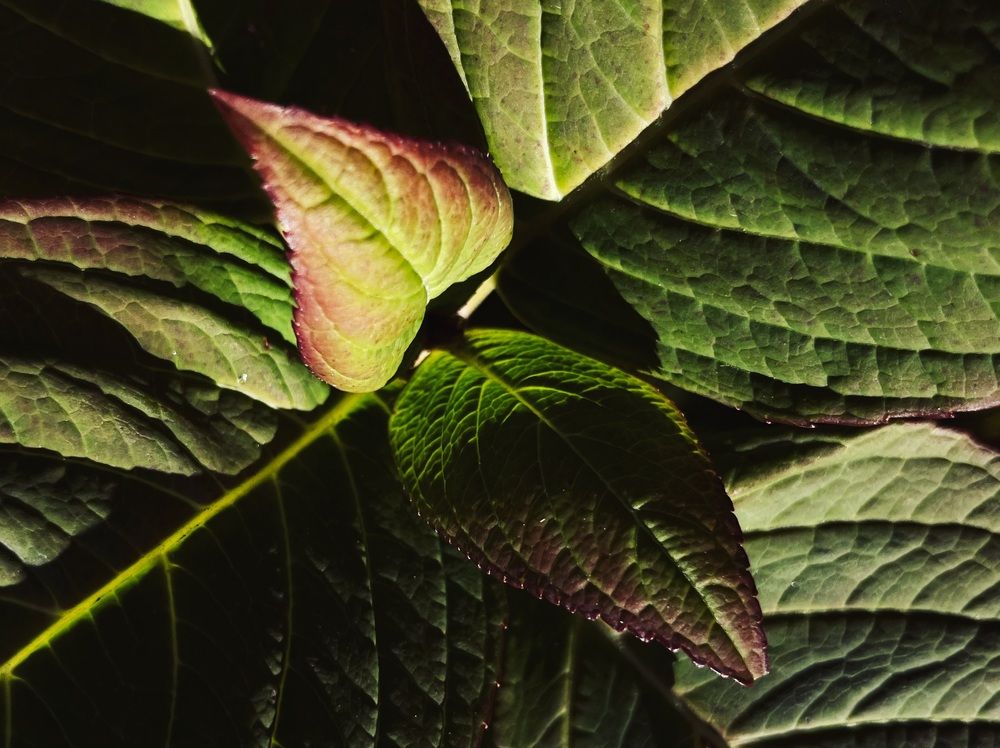 Photograph by Елена Спиридонова