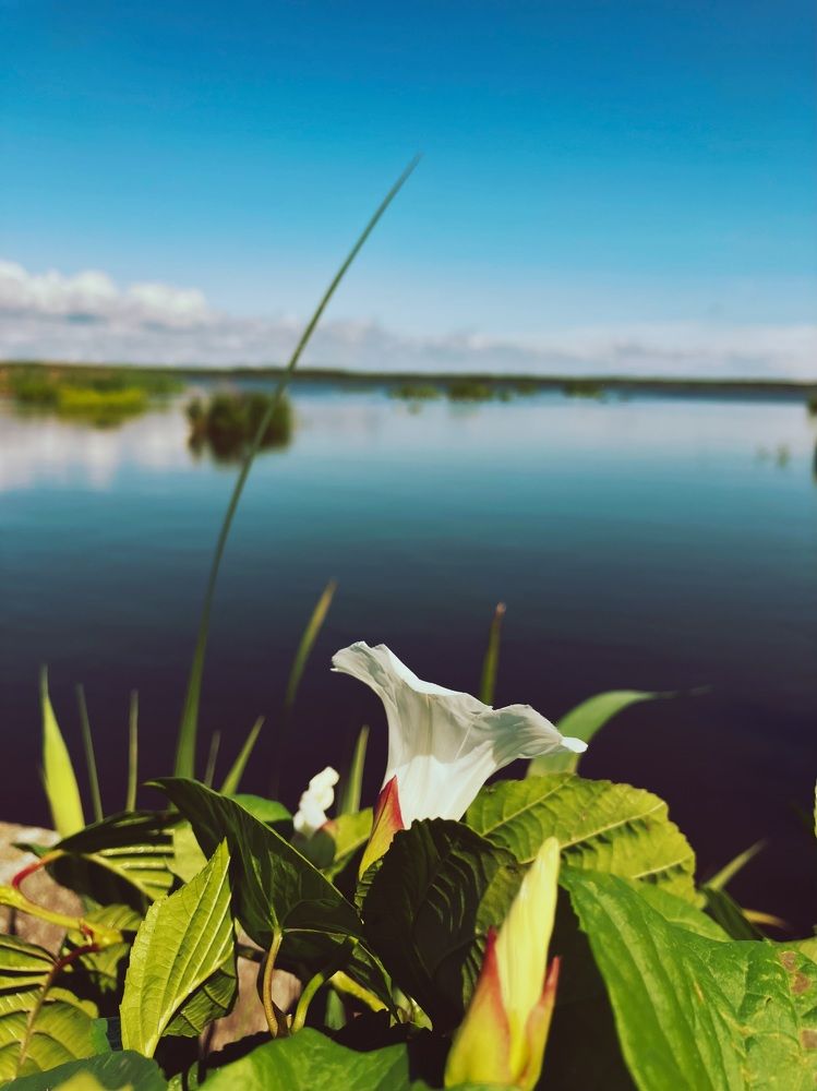 Photograph by Елена Спиридонова