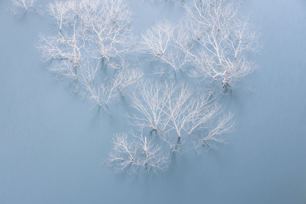 Photograph by LE HUY HUNG