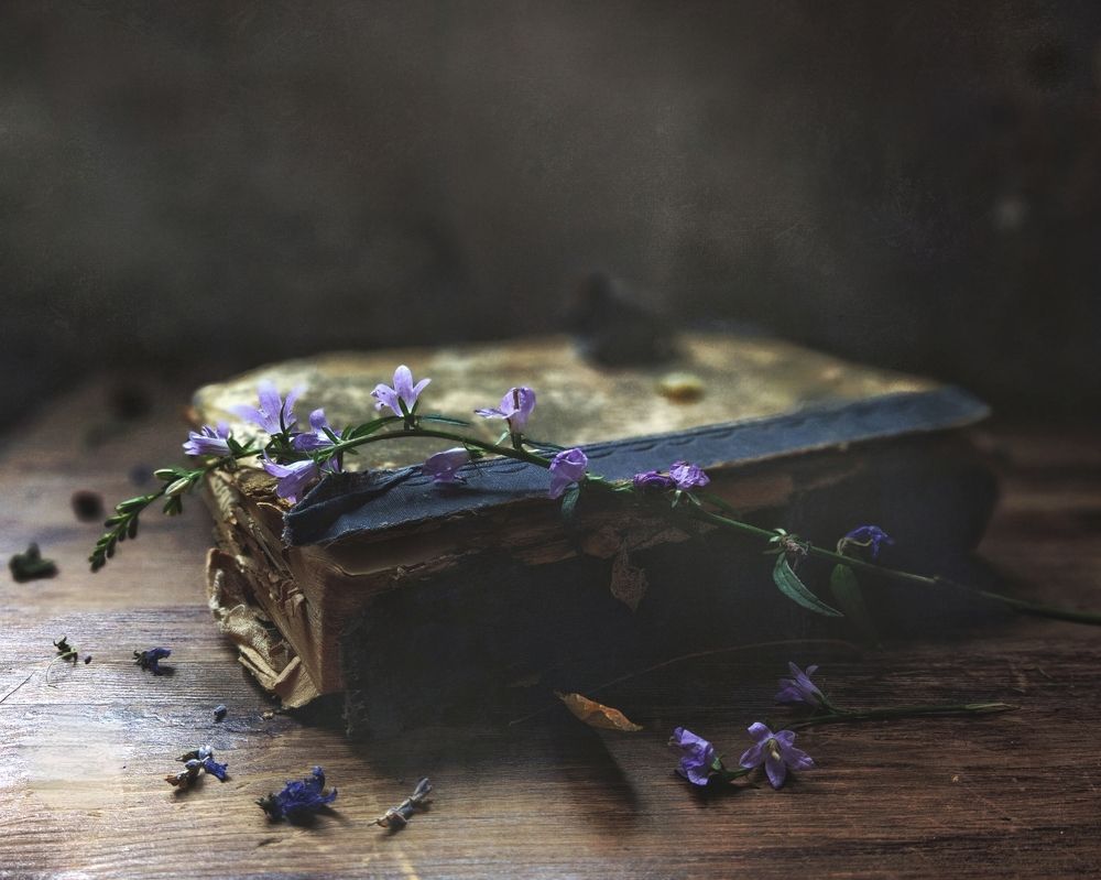 Время колокольчиков