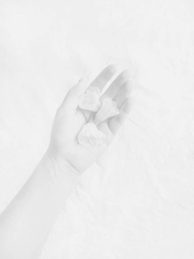 Photograph by Ksenija Bartoško