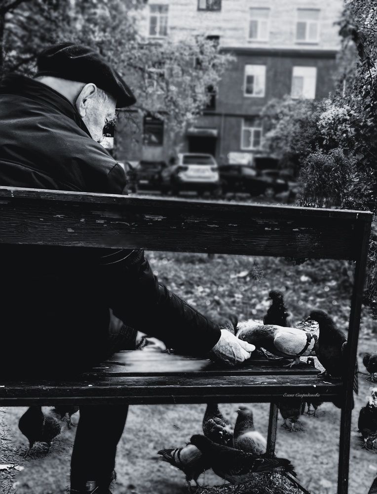 Photograph by Елена Спиридонова