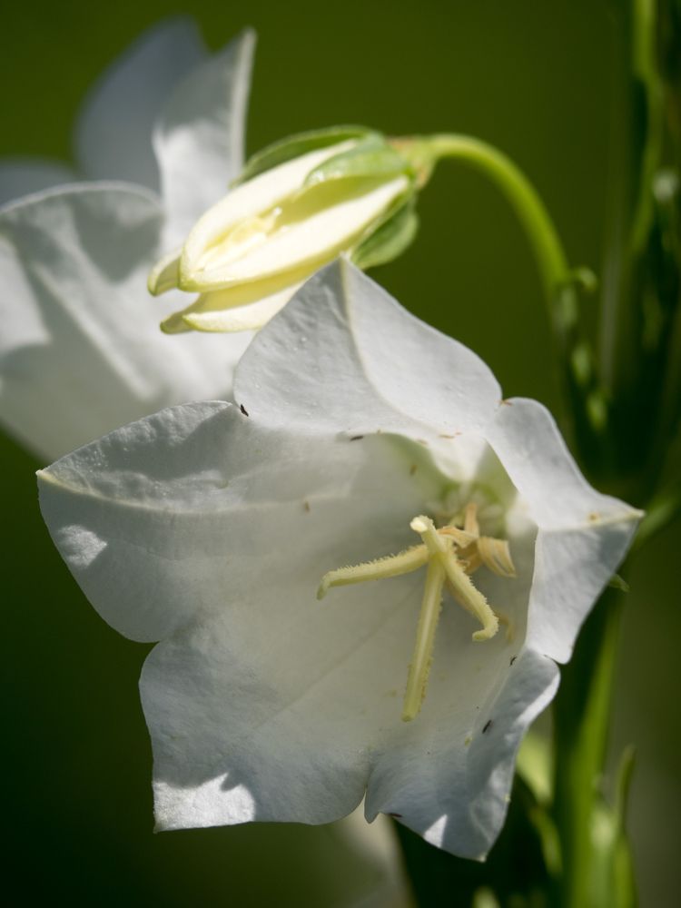 Photograph by Руслан Гончар