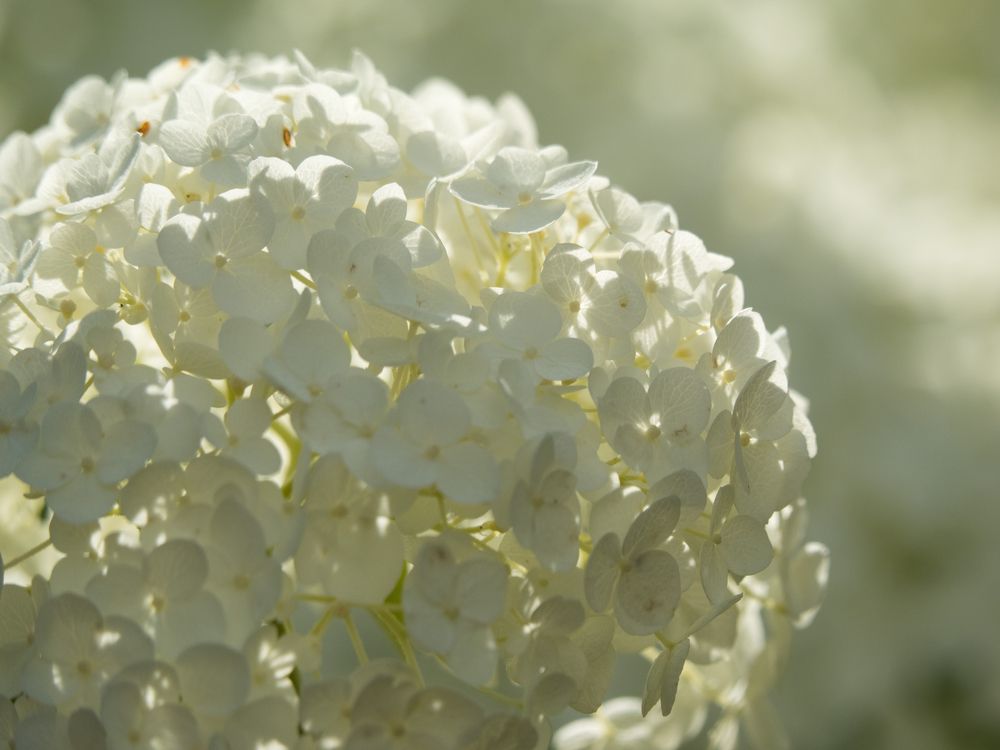 Photograph by Руслан Гончар