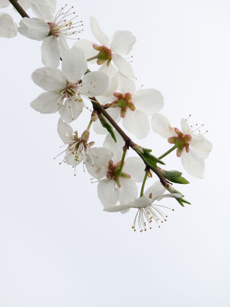 Photograph by Руслан Гончар