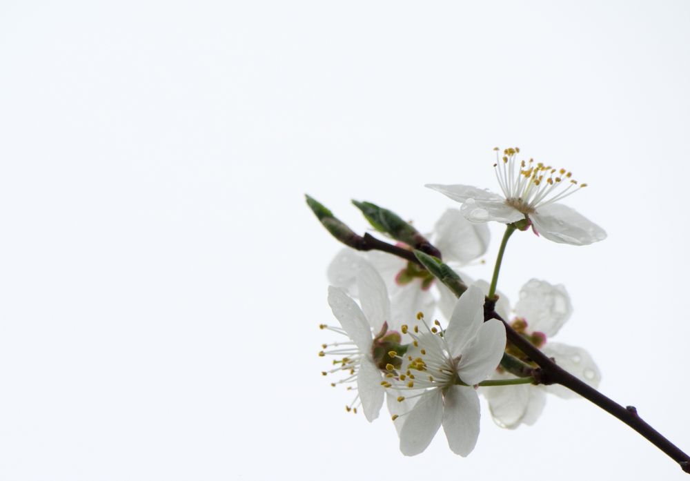 Photograph by Руслан Гончар