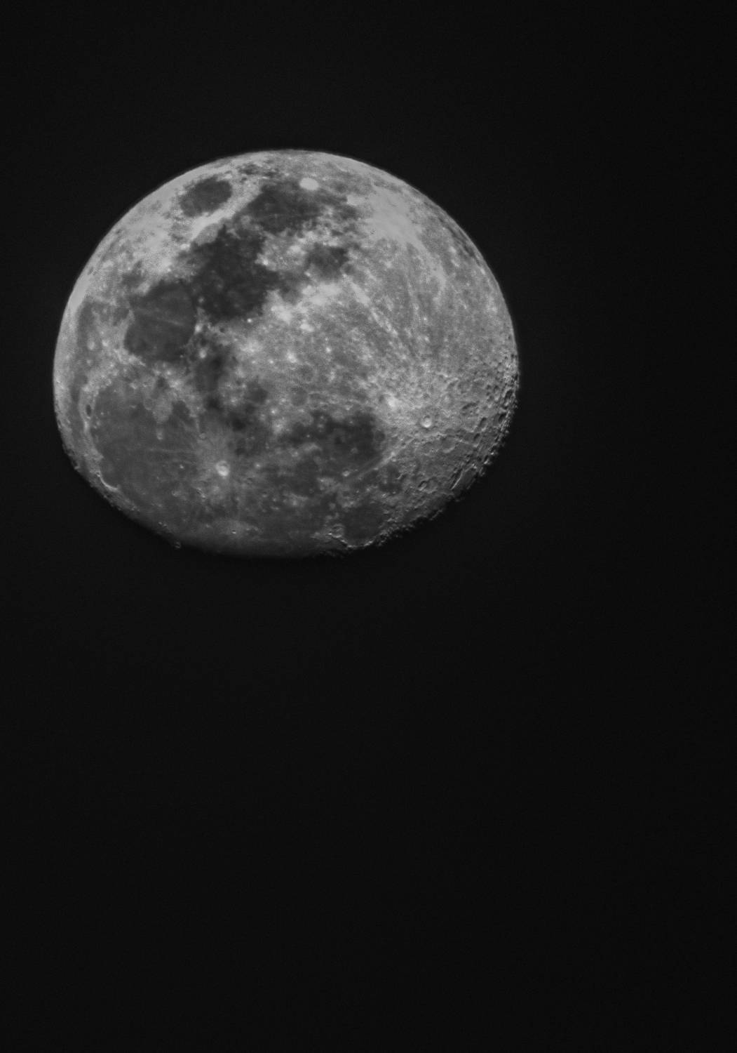 Photo #11403520