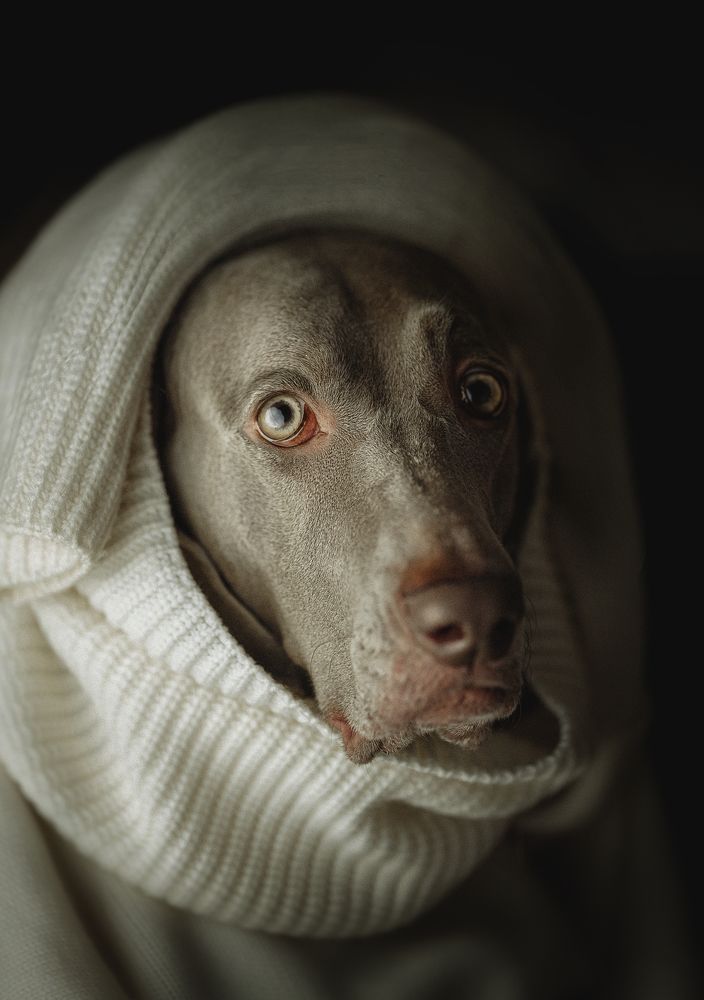 Photograph by Наталия Ватутина