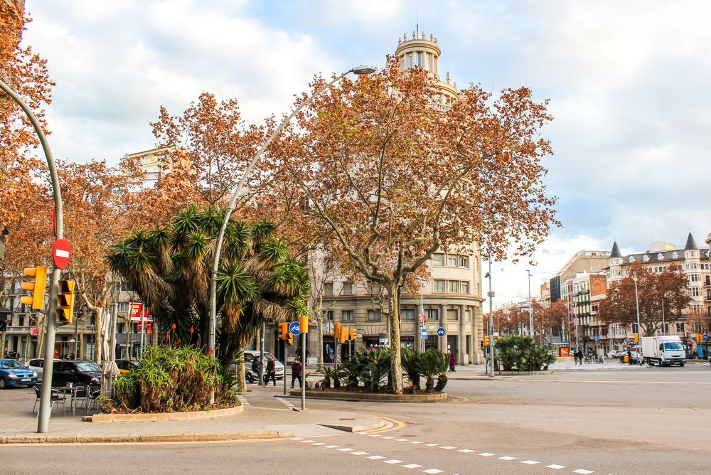 Фотография автора Василиса Новикова