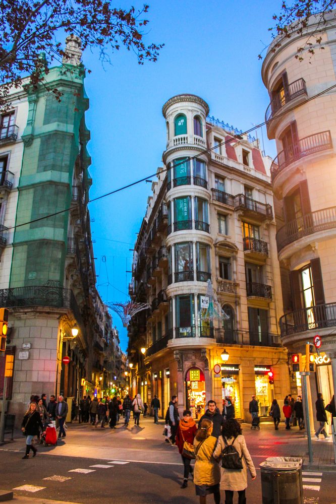 Фотография автора Василиса Новикова