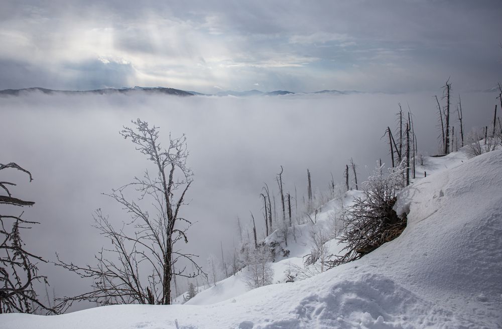 Photograph by Елена Павлова