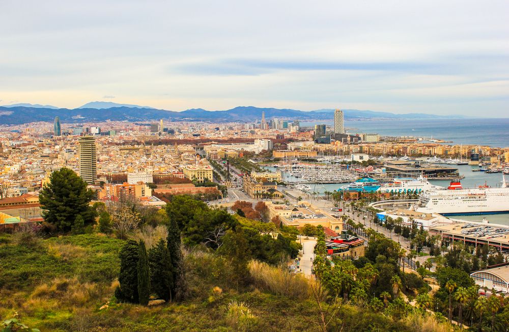 Фотография автора Василиса Новикова