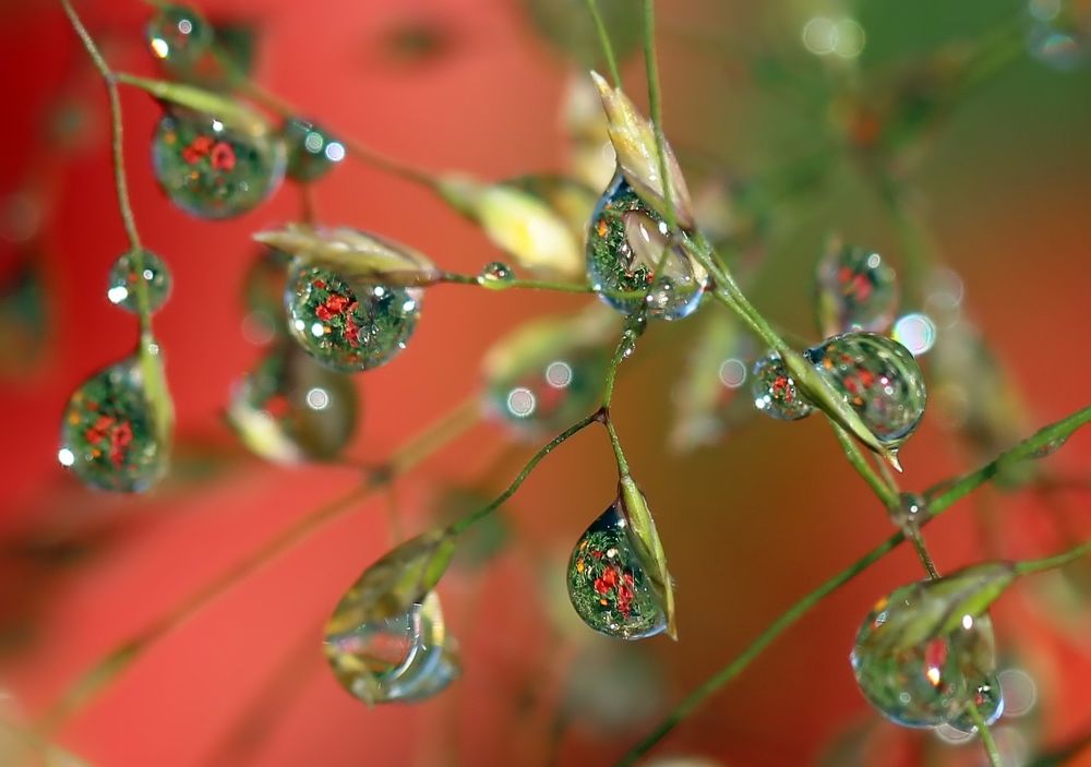 Photograph by Любовь Саханова