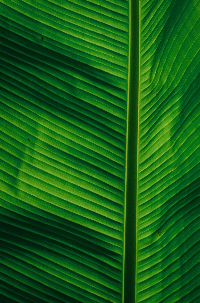 Photograph by Denis Trushtin