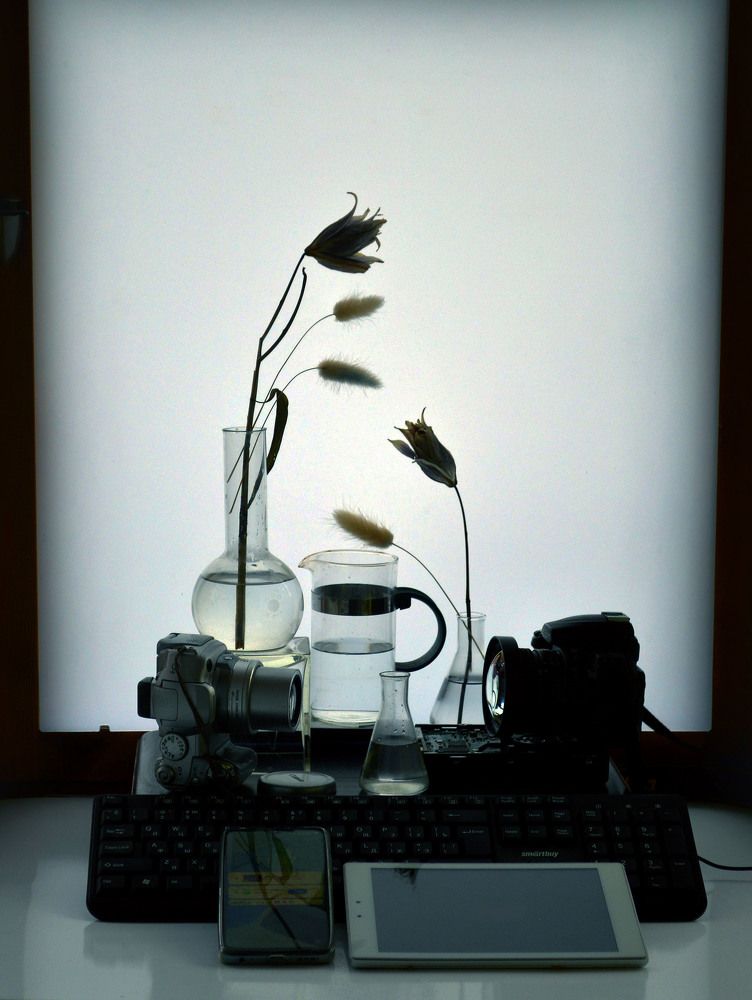 Photograph by Александр Зарх