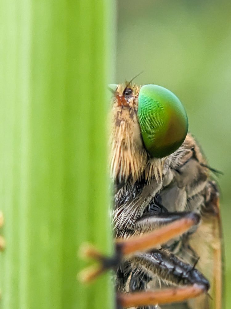 Photograph by GOVIND VISWANATH