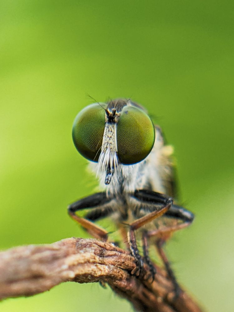 Photograph by GOVIND VISWANATH