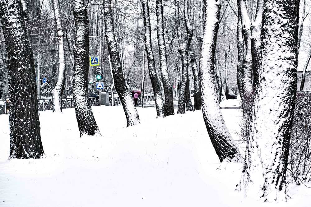 Зимний монохром