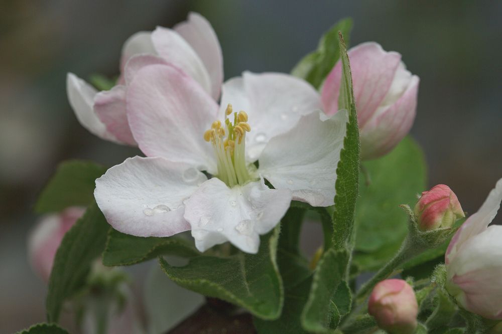 Photograph by Елена Бородина