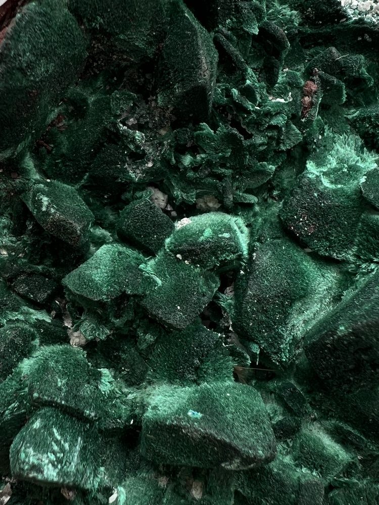 Фотография автора Diana