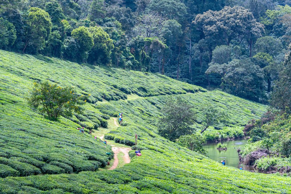 Фотография автора Sajeev Krishnan