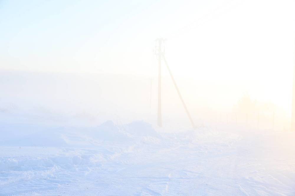 Photograph by елена