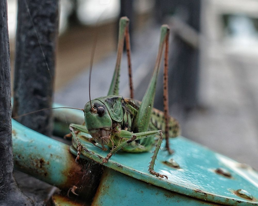 Photograph by Наталья Сафронова