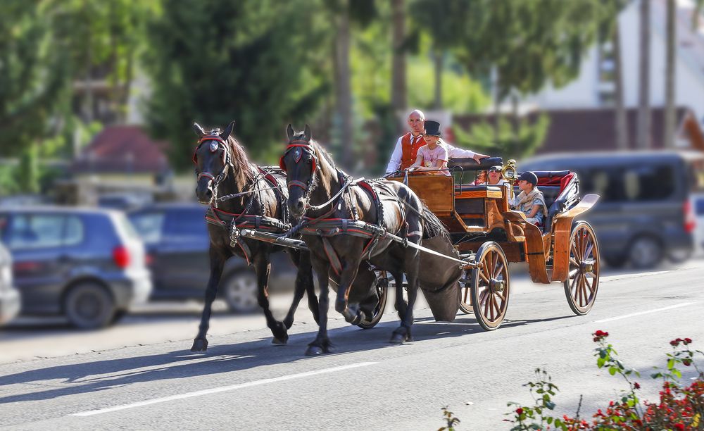 Carriage in Sovata
