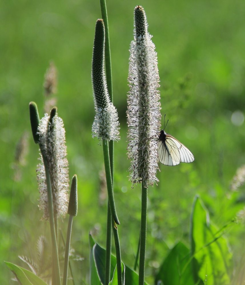 Photograph by Светлана