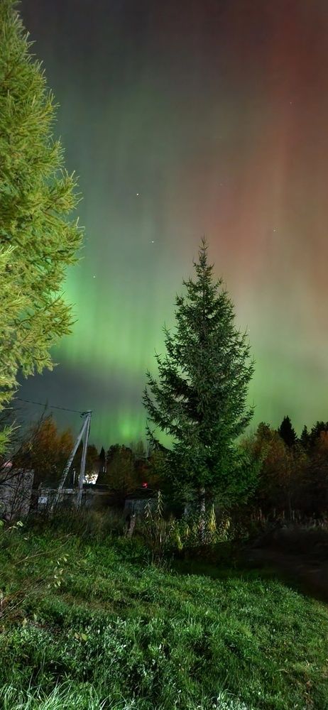 Фотография автора Вероника Пунгина